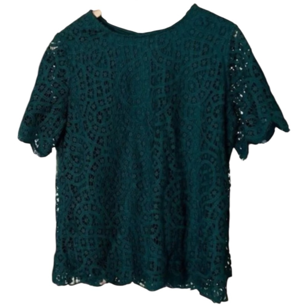 ‎𝅺PHILOSOPHY  GREEN Blouse